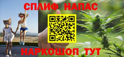 СК Белореченск