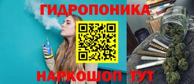 СК Боровичи