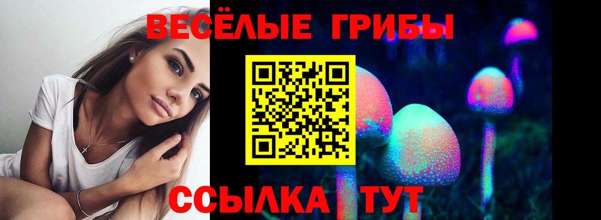 Галлюциногенные грибы Cubensis Донской